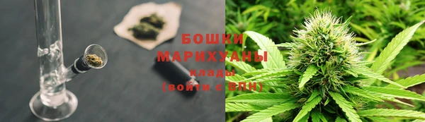 твердый Осинники
