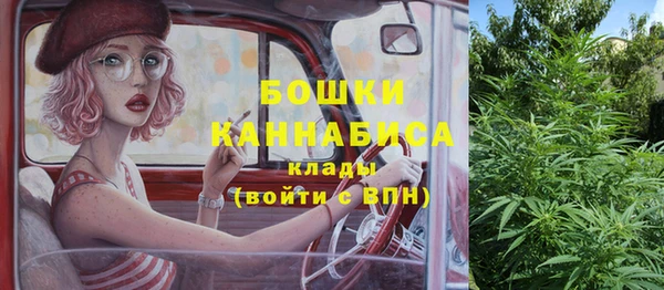твердый Осинники