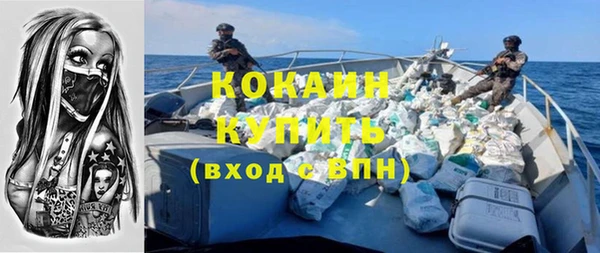 твердый Осинники