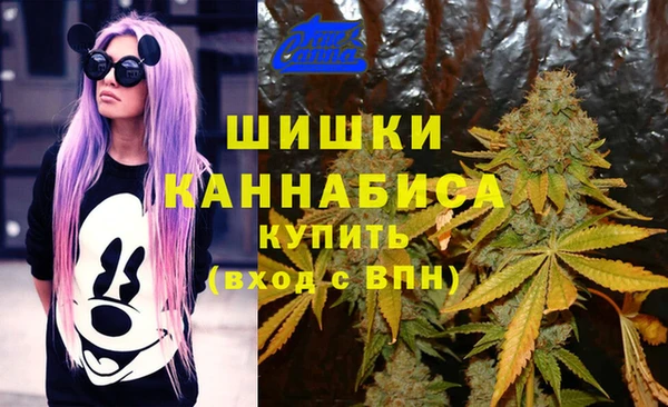 твердый Осинники