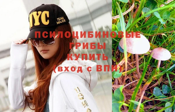 прущие крисы Осташков