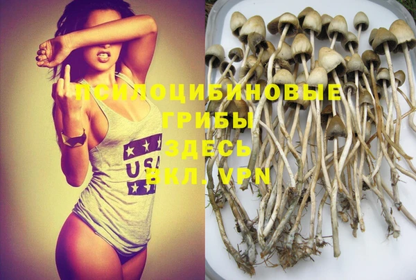 твердый Осинники