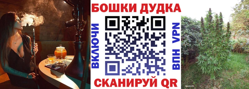 наркота  Кисловодск  Бошки Шишки планчик 